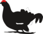 cietrzew