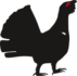 gluszec