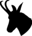 kozica