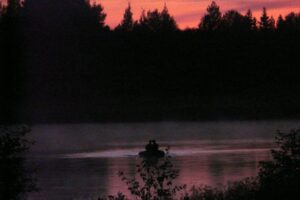 13 (Copy)