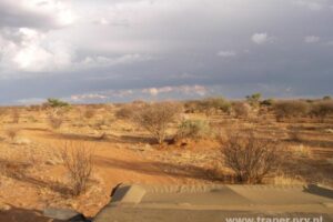 nam05 (Copy)