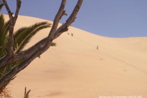 nam12 (Copy)