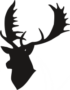 daniel2