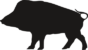 dzik